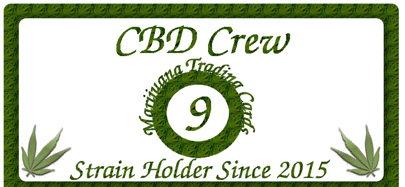 CBD Crew