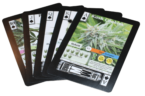 Playable card deck preview