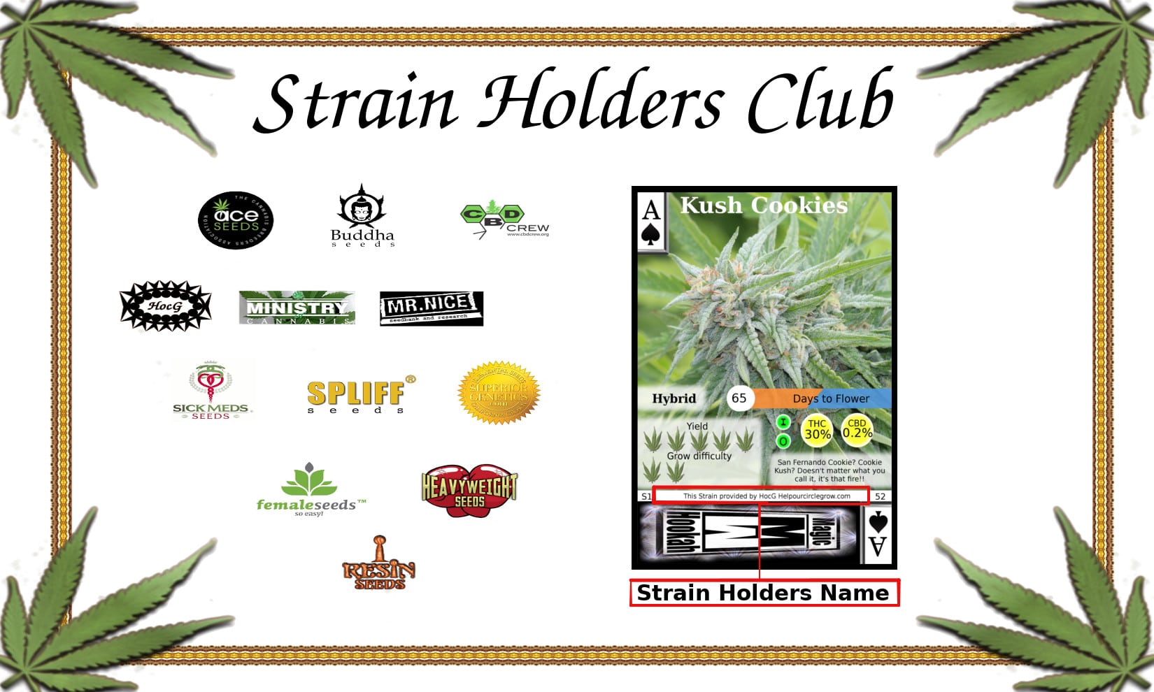 Strain Holders Club